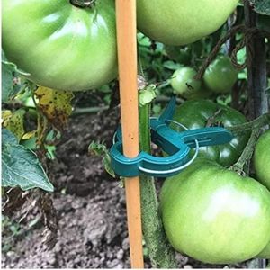 3-4-10🔥 Handy Plant Clips two sizes 20pc